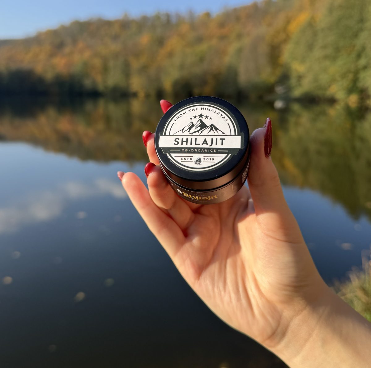 GB Organics Shilajit